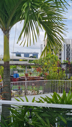 Belle Vue Residences (D9), Condominium #444484901